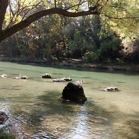 Appartamento Il Tiglio Bassano del Grappa Eksteriør bilde