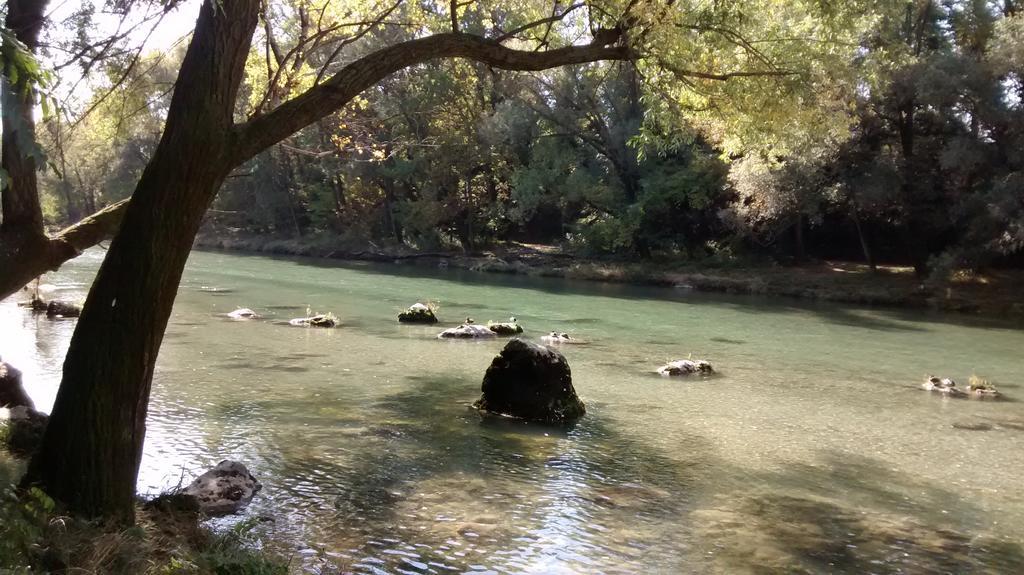 Appartamento Il Tiglio Bassano del Grappa Eksteriør bilde